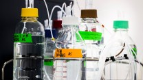 Four bottles with clear liquid and multi-colored labels.